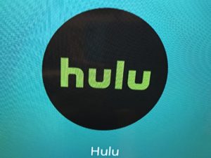 動画配信サービス Hulu と Fod比較 主婦自立 自分をカスタマイズ